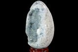 Crystal Filled Celestine (Celestite) Egg Geode - Madagascar #98791-2